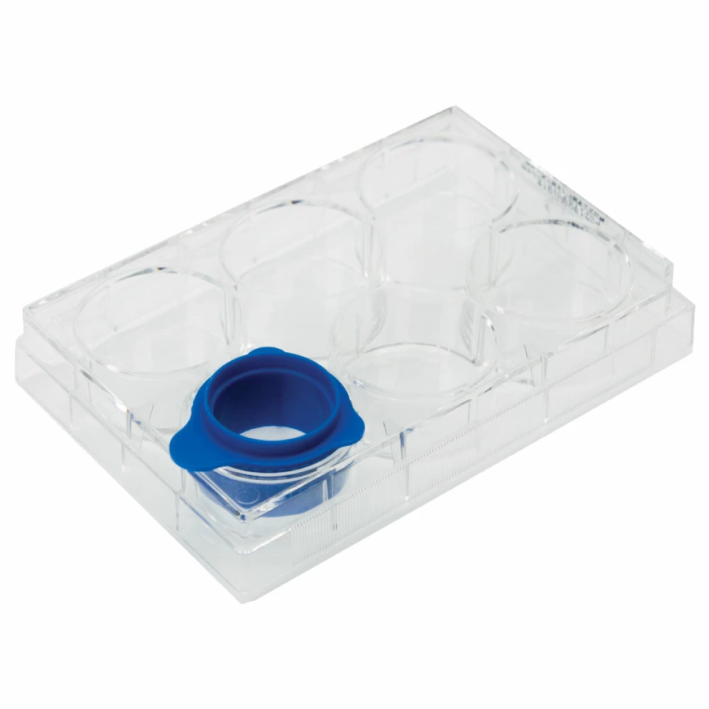 Olympus Plastics 25-375, Individually Wrapped, Sterile, 50 Cell Strainers/Unit secondary image