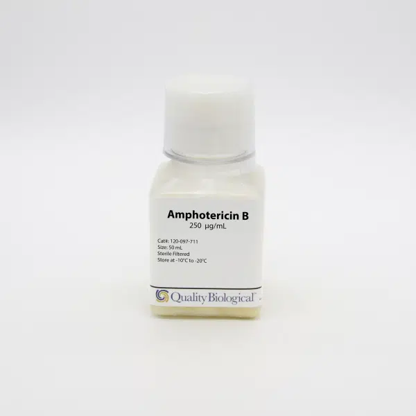 QBI 120-097-711 Amphotericin B, 250