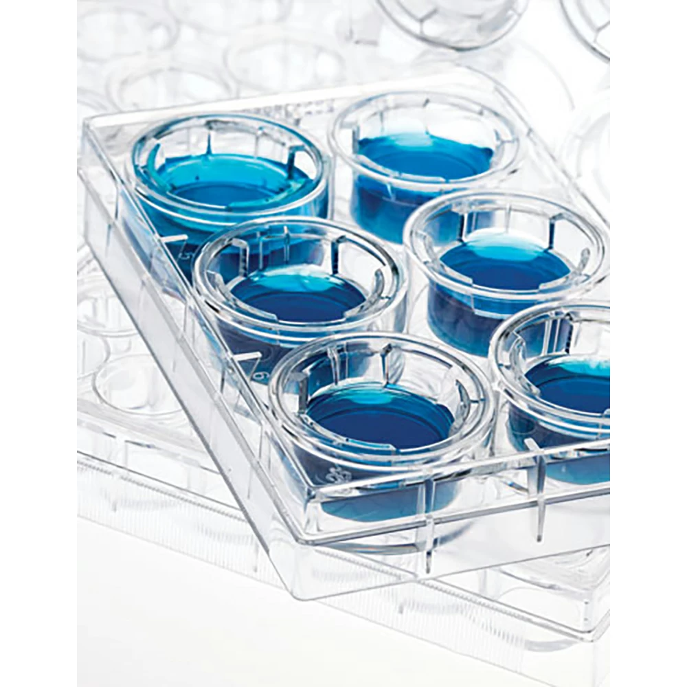 GenClone 25-283, 8