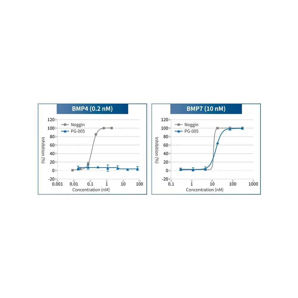 PeptiGrowth PG-005 BMP7 Selective Inhibitor, BMP7 Binding Peptide, 5